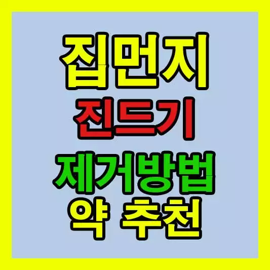 집먼지 진드기 제거방법 꿀팁 약 추천