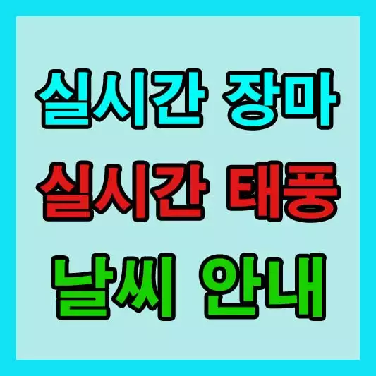 실시간 장마, 태풍 안내